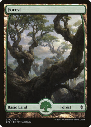 Forest (Foil) [Battle for Zendikar] - NM