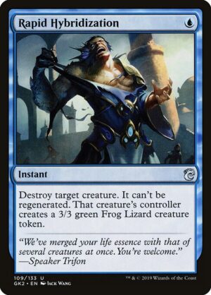 Rapid Hybridization [RNA Guild Kit] - NM