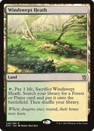 Windswept Heath [Khans of Tarkir] - NM